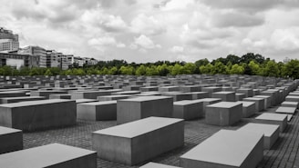 An array of large, rectangular concrete blocks is arranged in a grid pattern, creating a geometric landscape. These blocks are situated on a paved ground, with a backdrop of green trees and a cloudy sky overhead. Buildings are visible in the distance, contrasting with the solemn atmosphere of the rows of blocks.