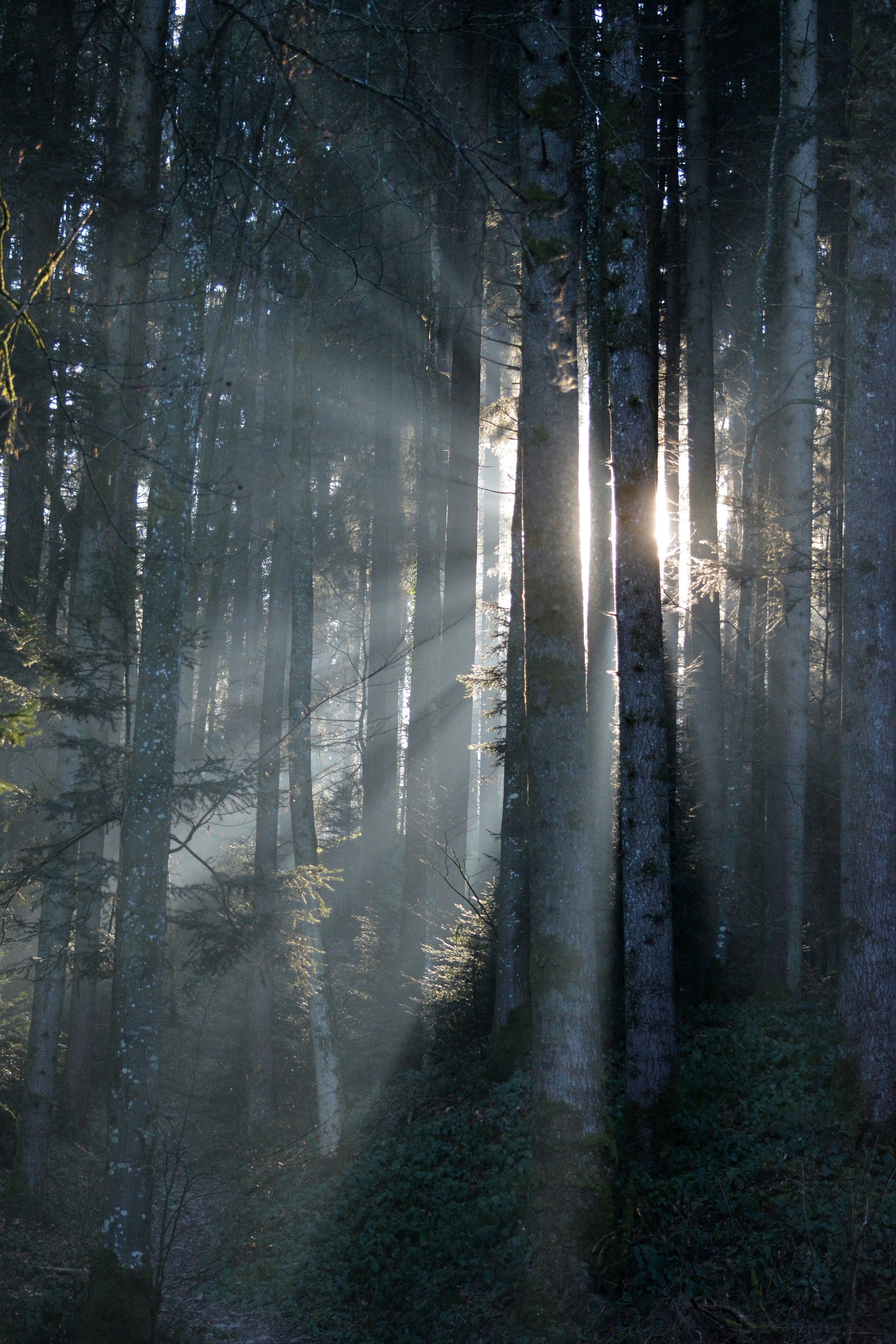 Photo by pedrino5_official