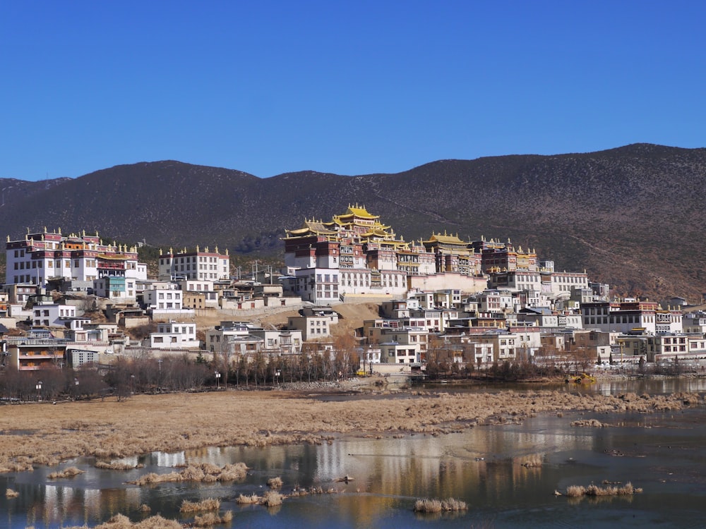 Edificios de la ciudad cerca de cuerpos de agua durante el día