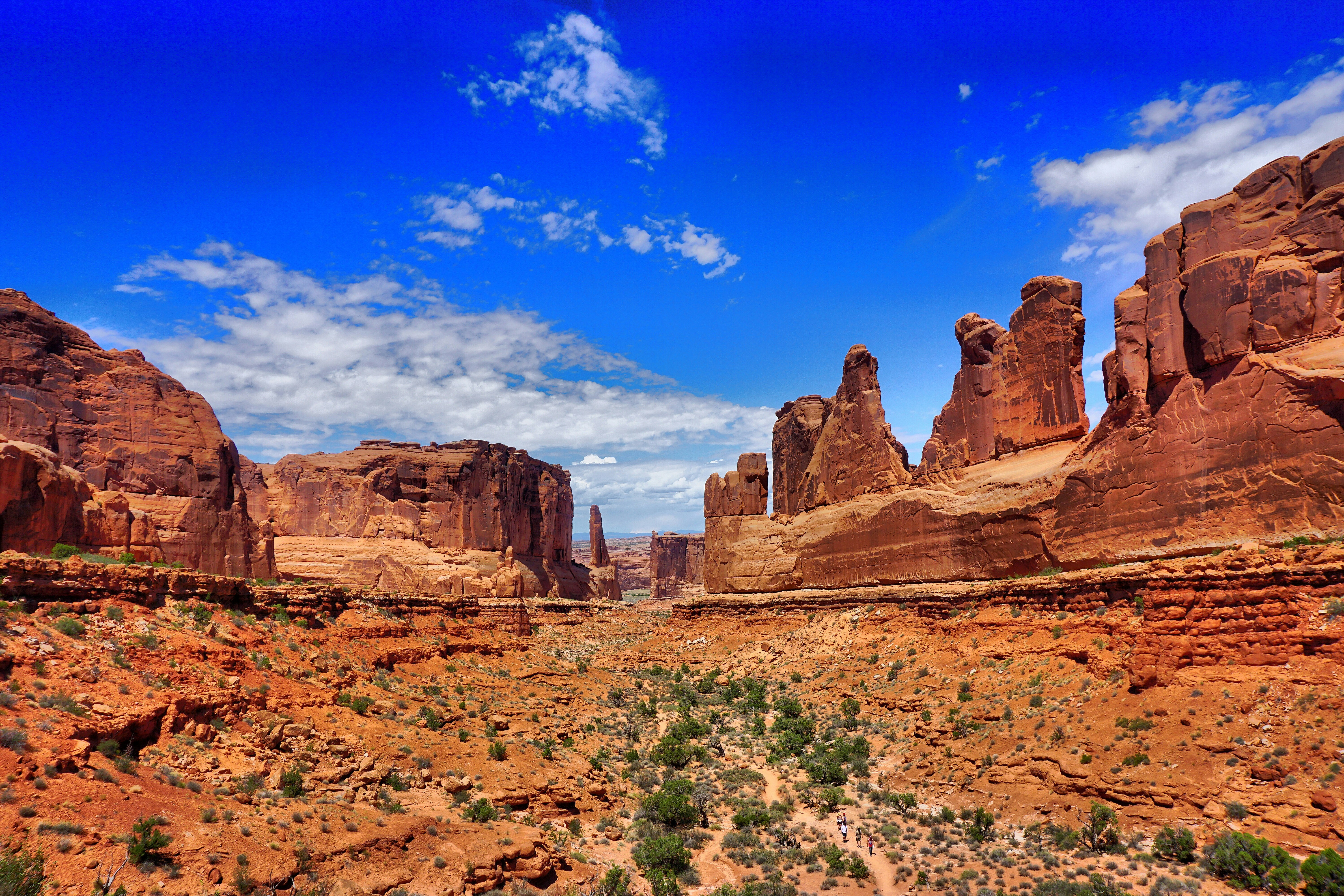 Photo by baroneascea