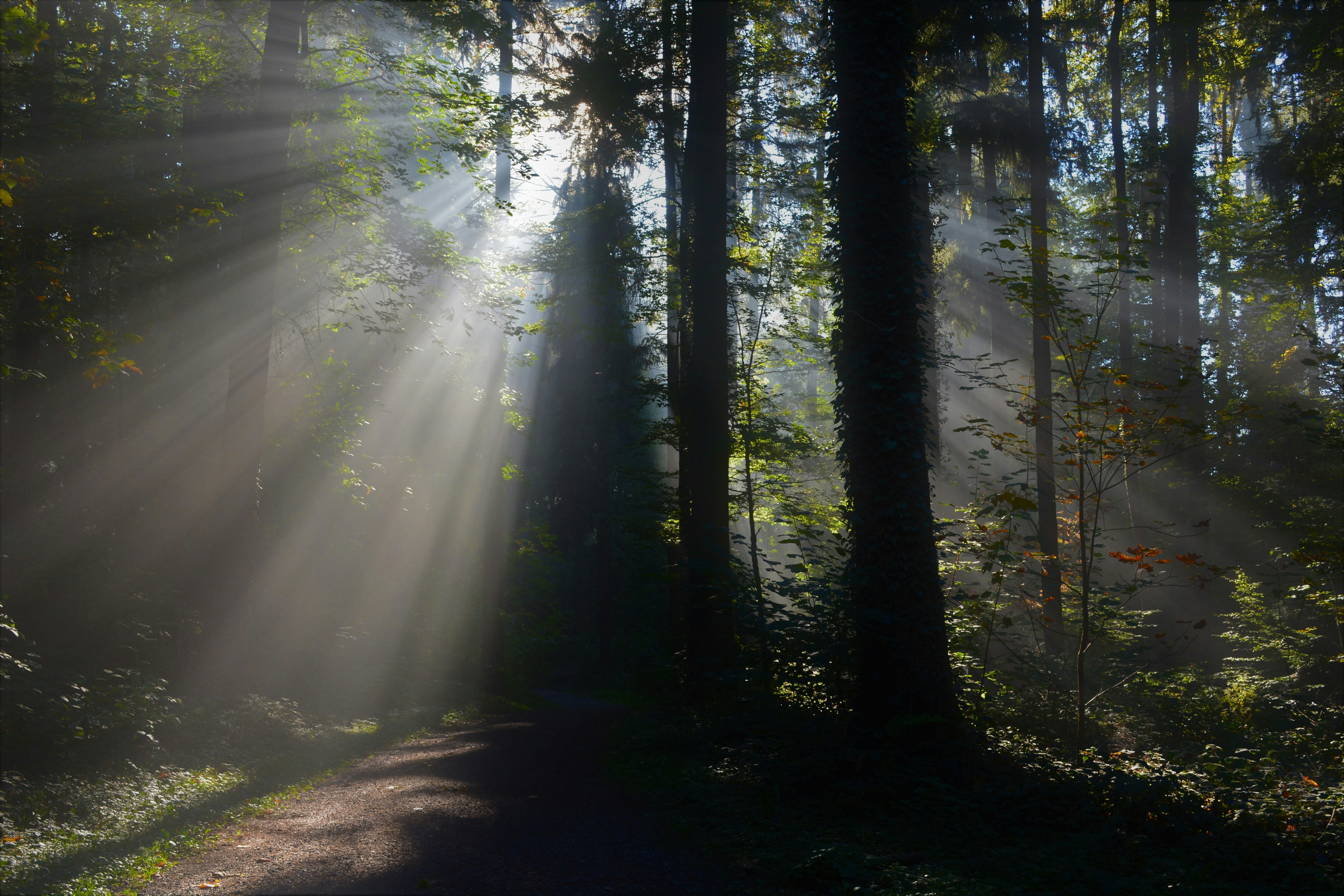 Photo by pedrino5_official