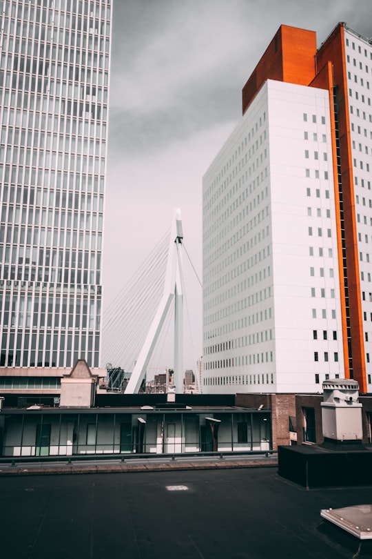 white and orange concrete building in Erasmusbrug Netherlands