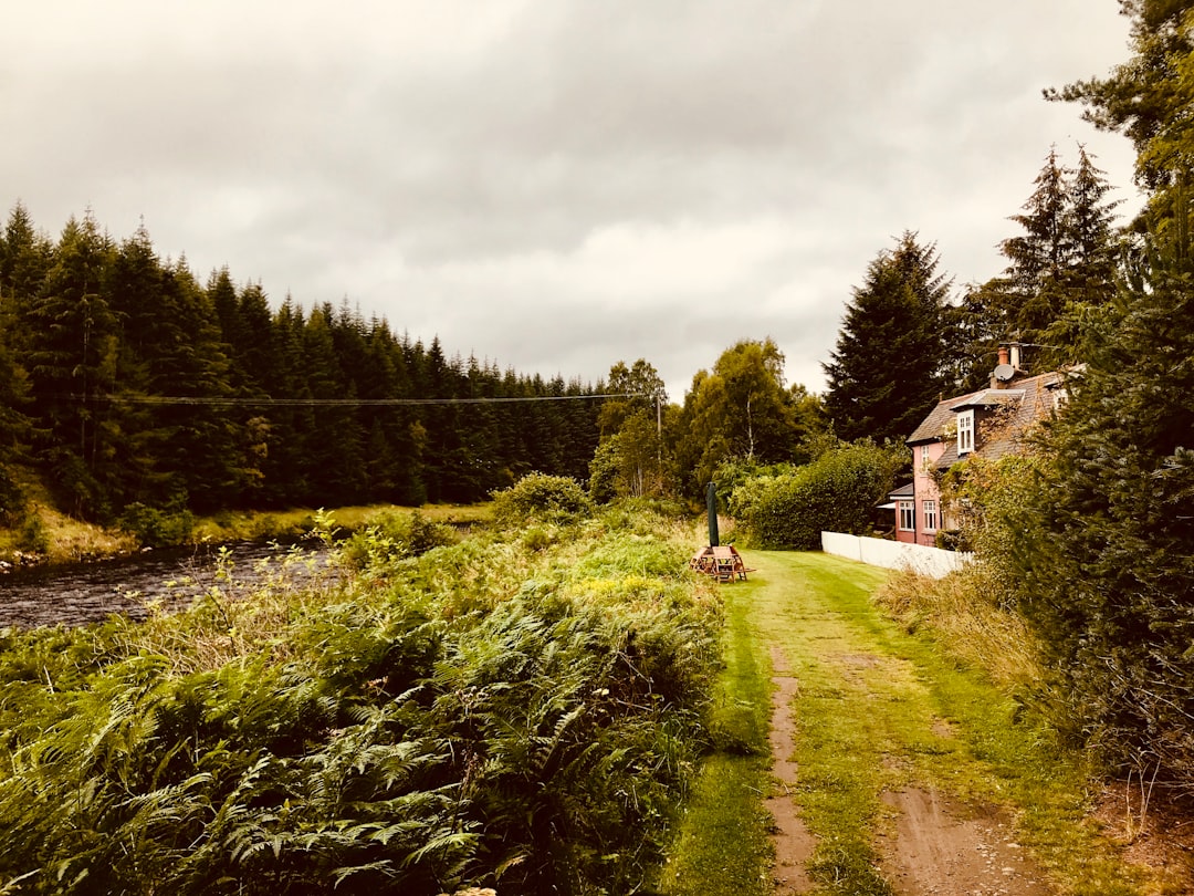 Forest photo spot Cairngorms National Park Pitlochry