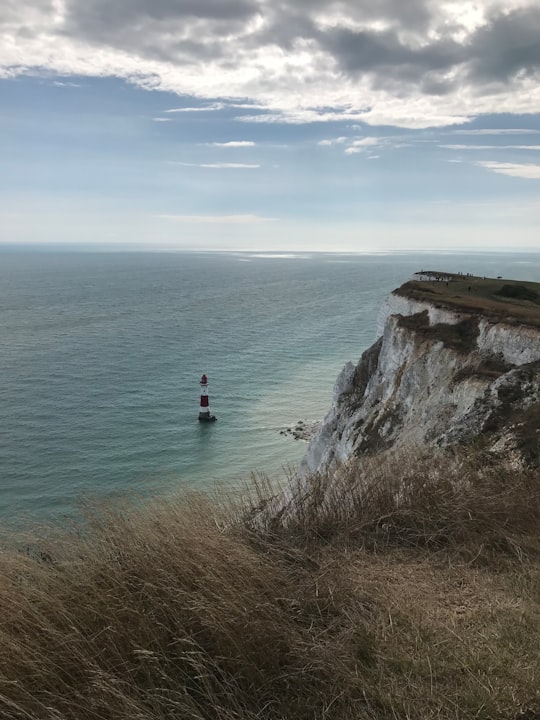 person in red shirt standing on cliff by the sea during daytime in Eastbourne, Beachy Head United Kingdom