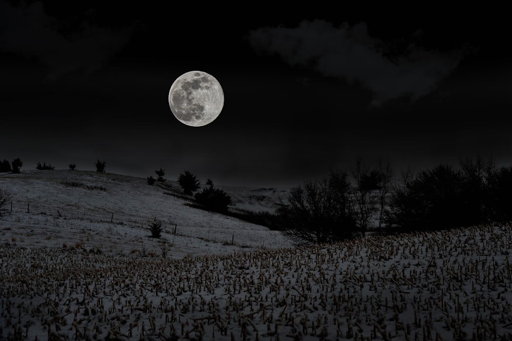 full moon over snow covered field