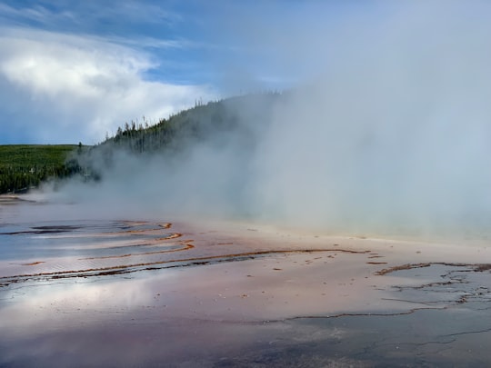 green trees under white clouds during daytime in Yellowstone United States