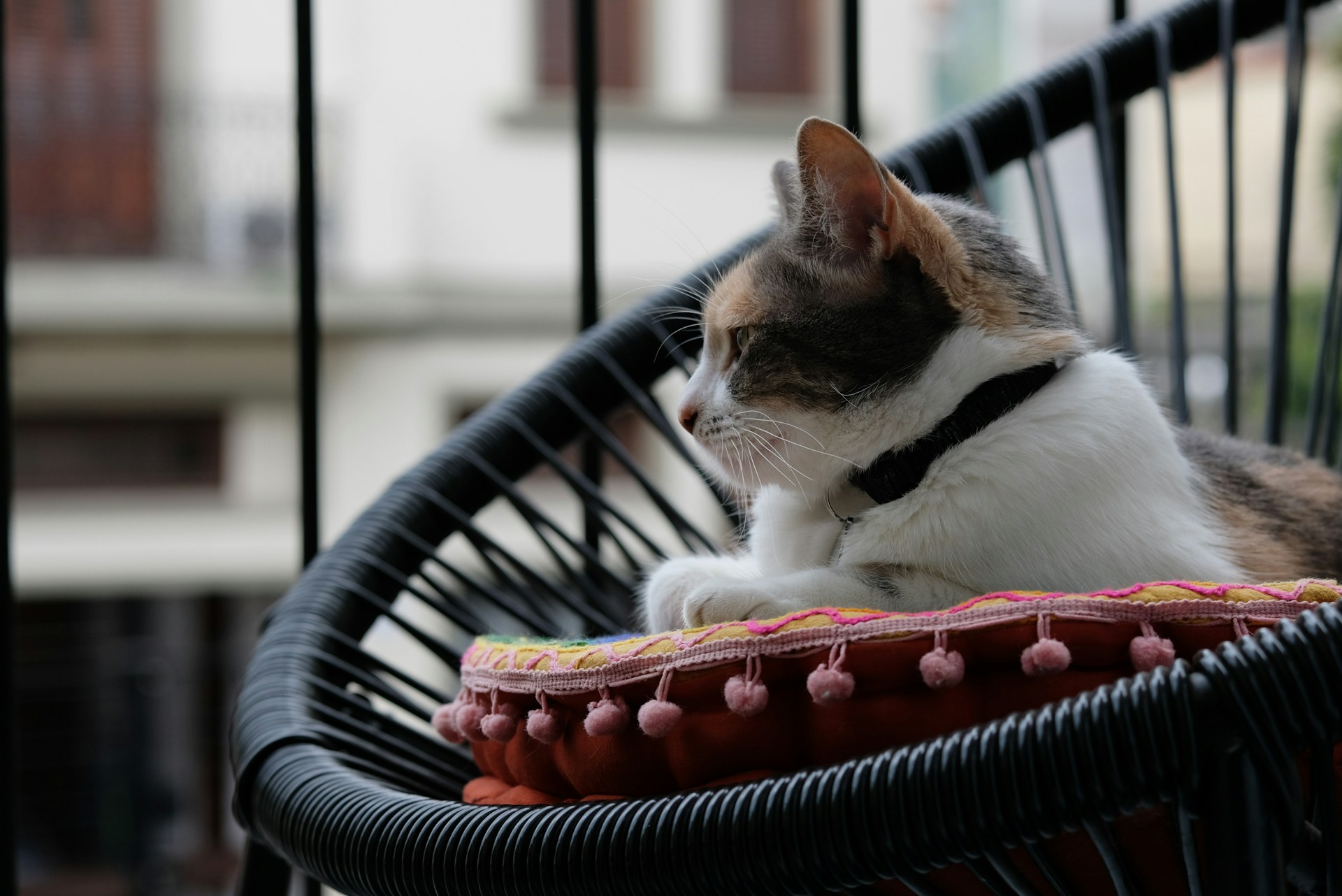 black and white bed linen