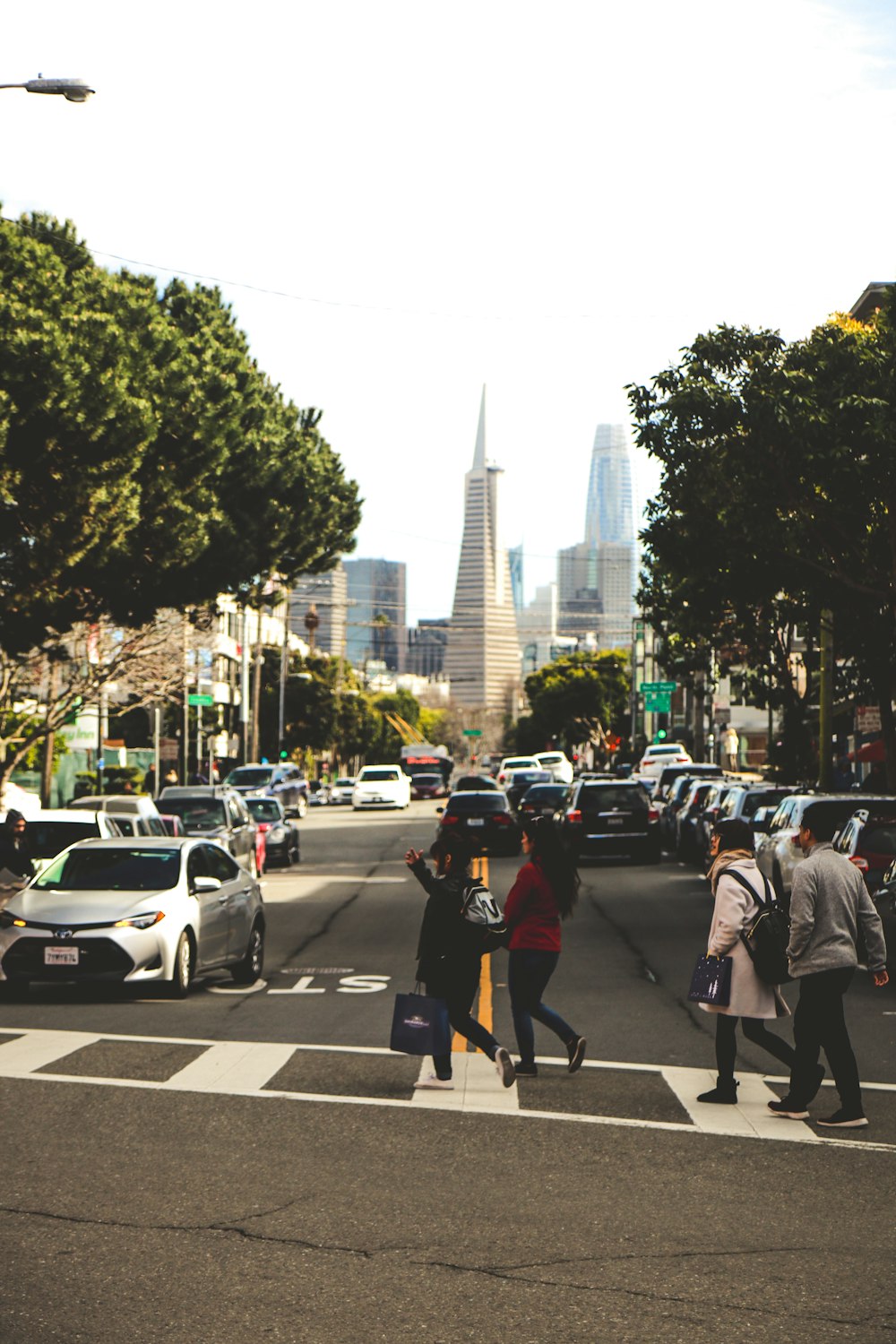 people walking on pedestrian lane during daytime