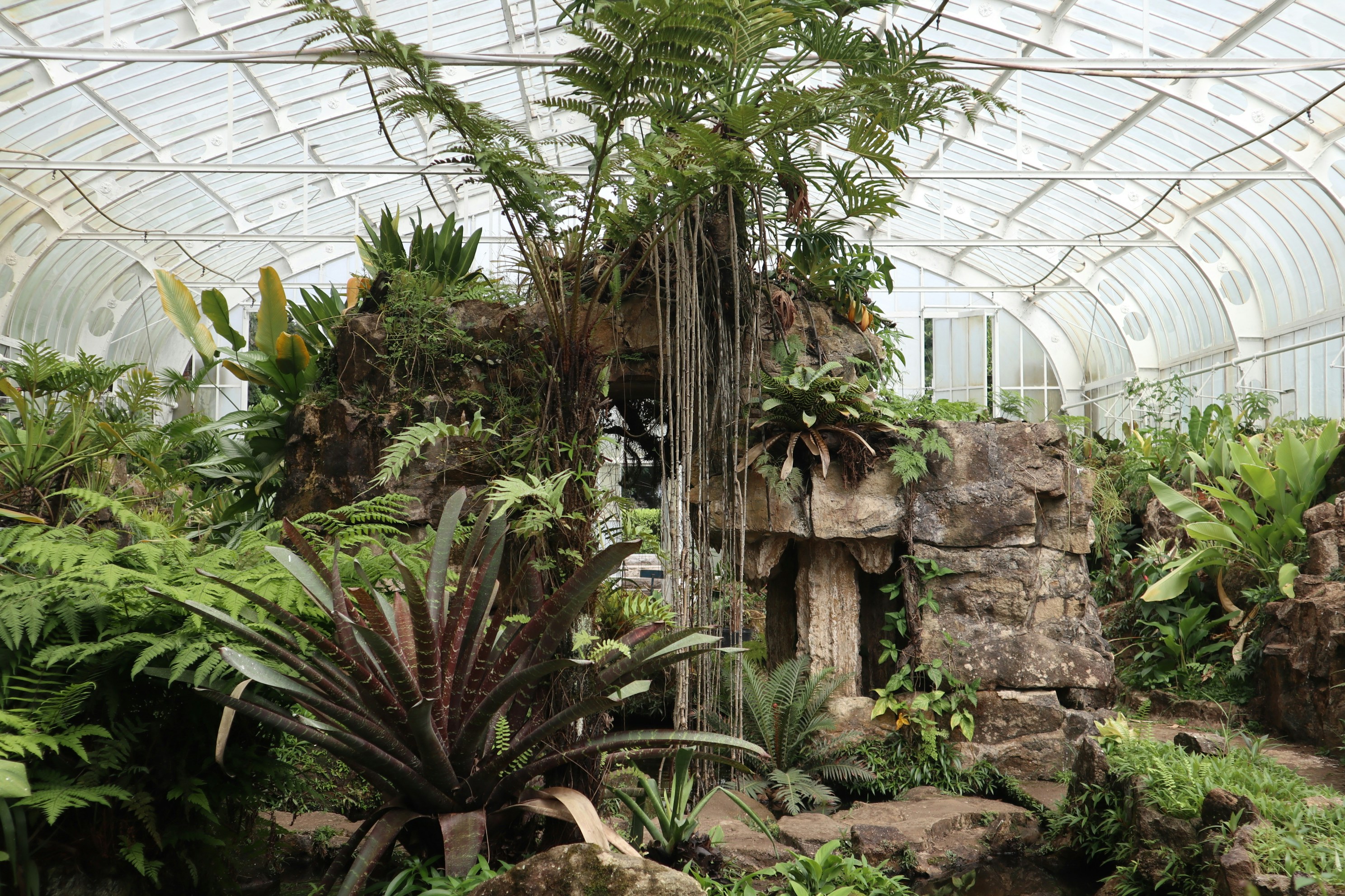 Photo by giovanna_os