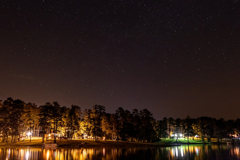 body of water near trees during night time