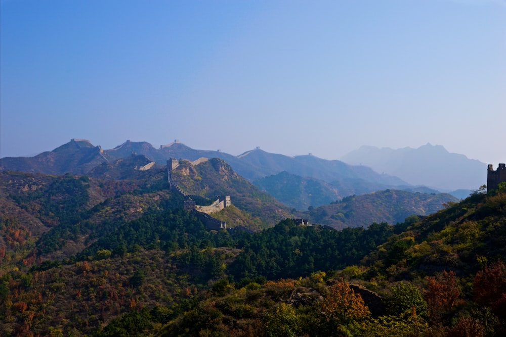 green trees on mountain during daytime