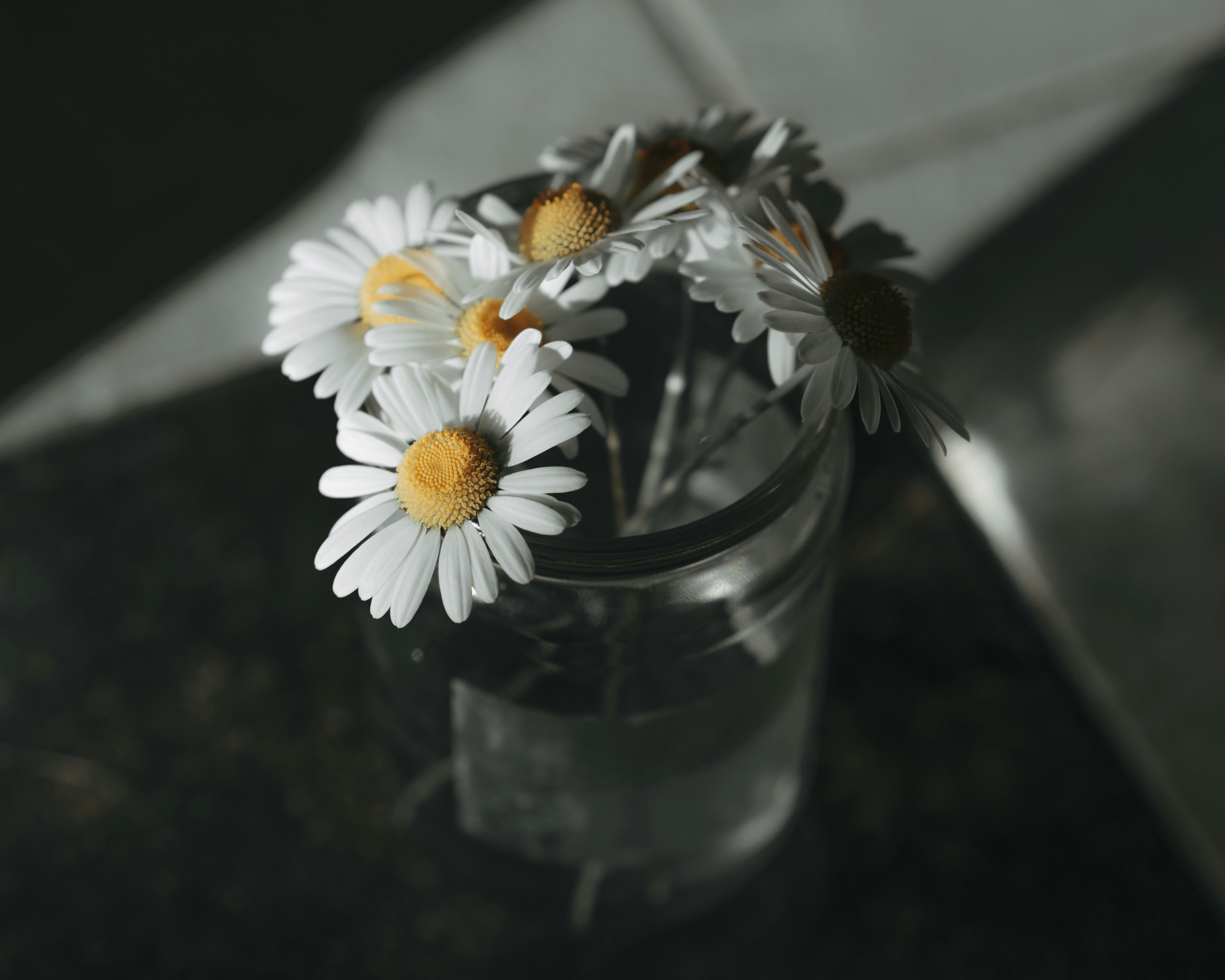 Photo by mogilat