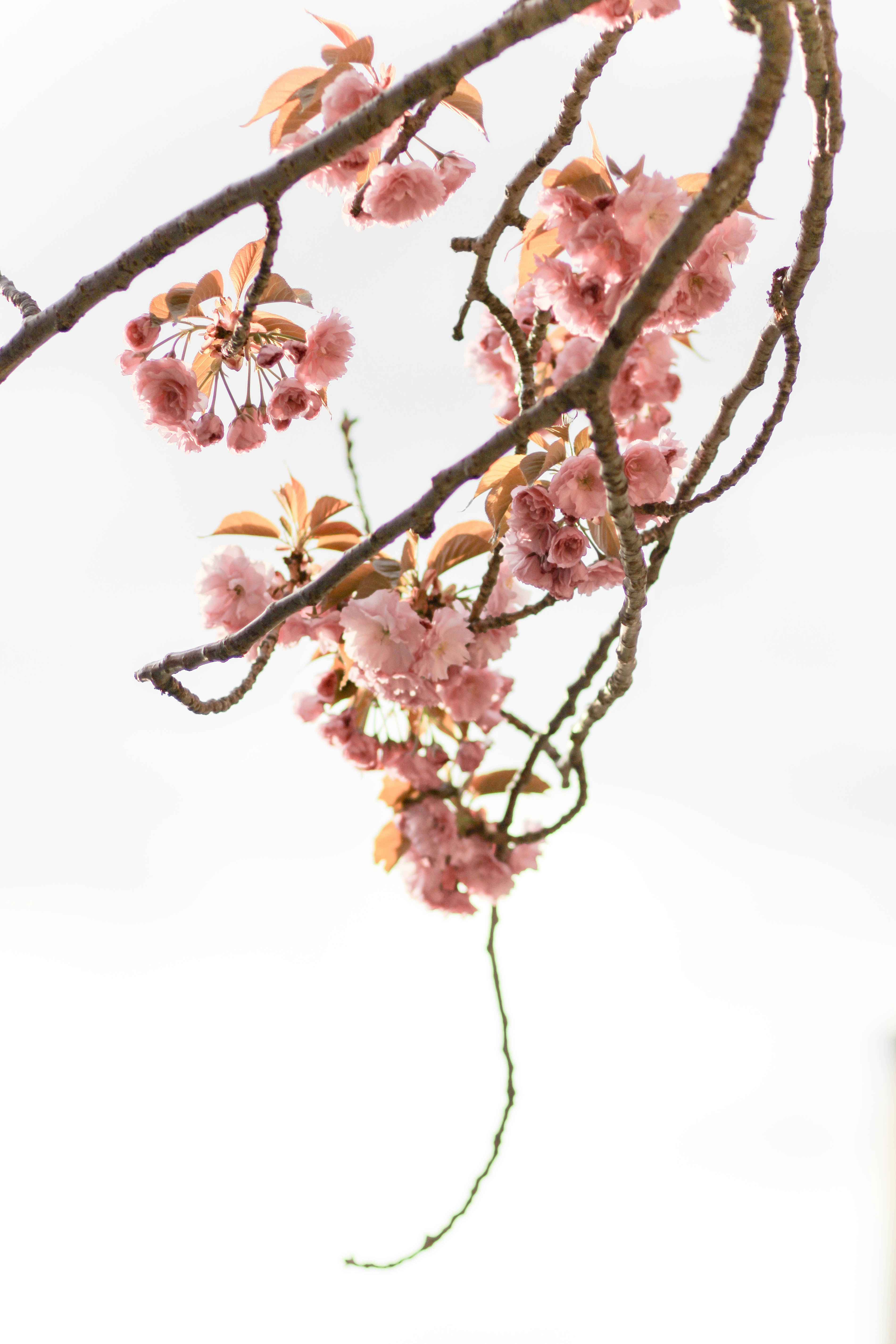 מרגע זה, הַדִּבּוּר בִּלְשׁוֹן רַבִּים, הָאִישִׁ� 1