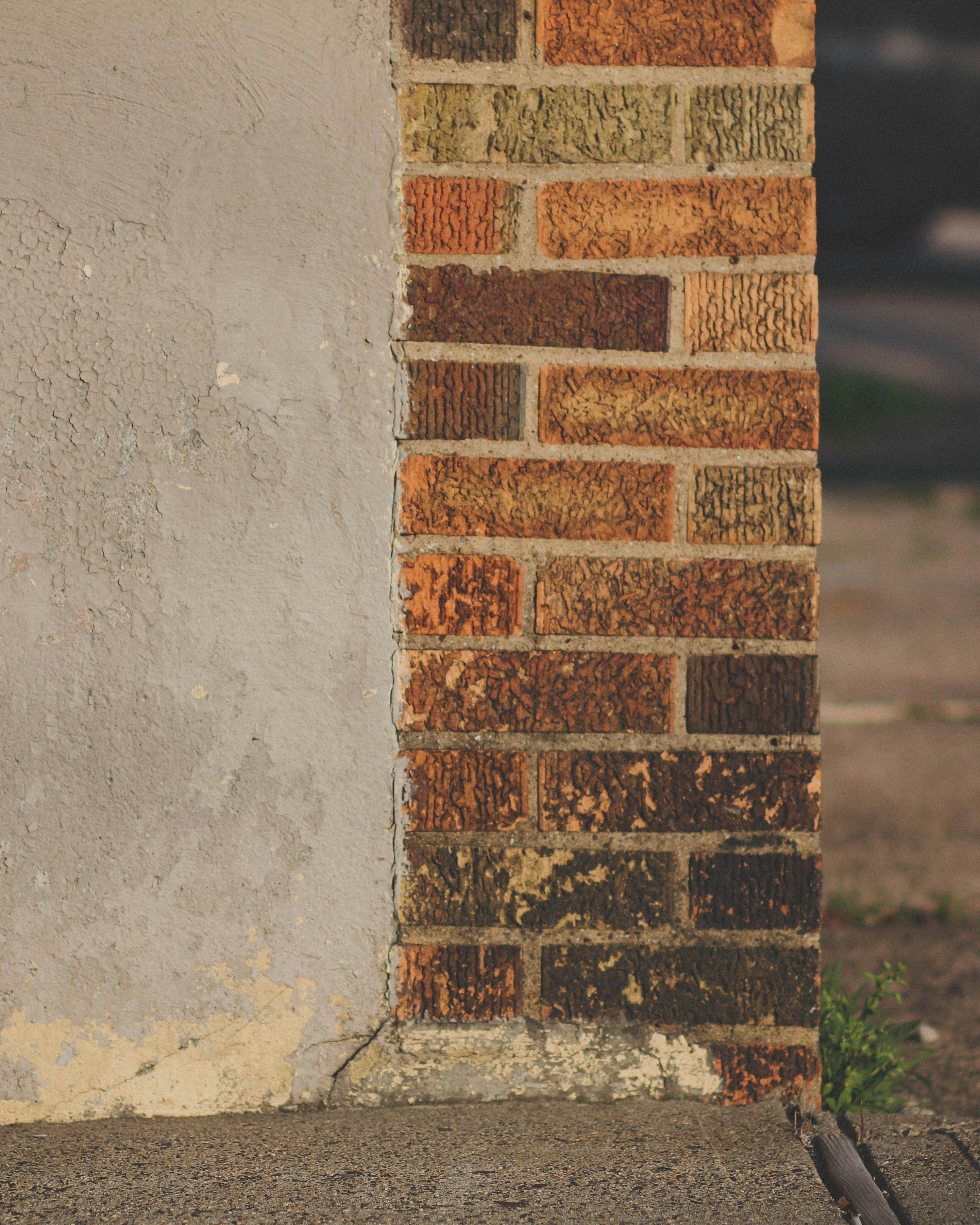 Photo by melisaphigueroa