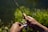 Hands holding a fishing rod with a wooden grip, situated near a body of water and surrounded by greenery, indicating an outdoor fishing scene.