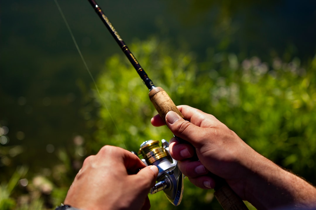 Canne à pêche mitchell carbone prix