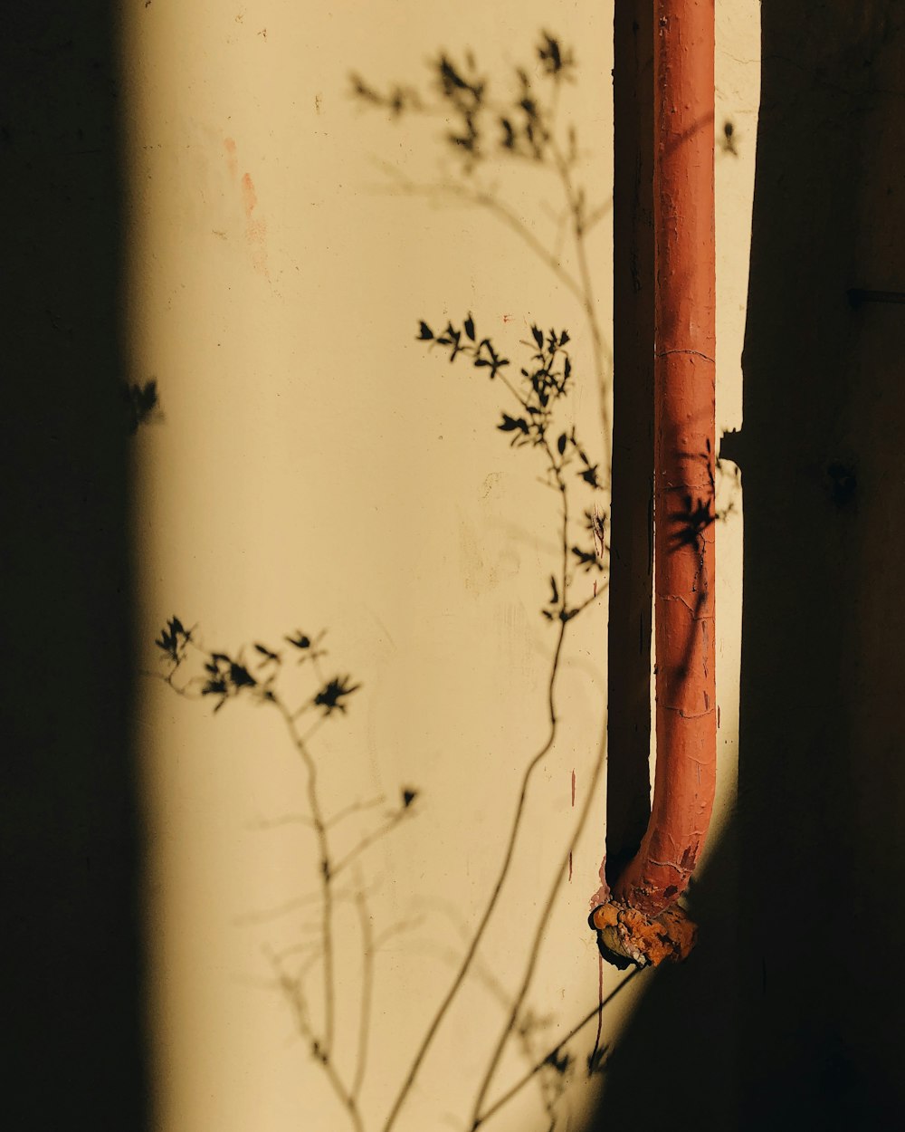 brown wooden stick on white wall