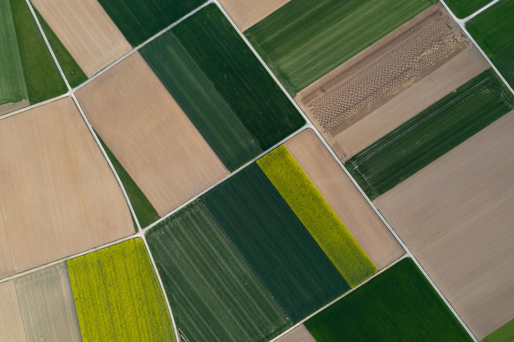 green and brown striped textile