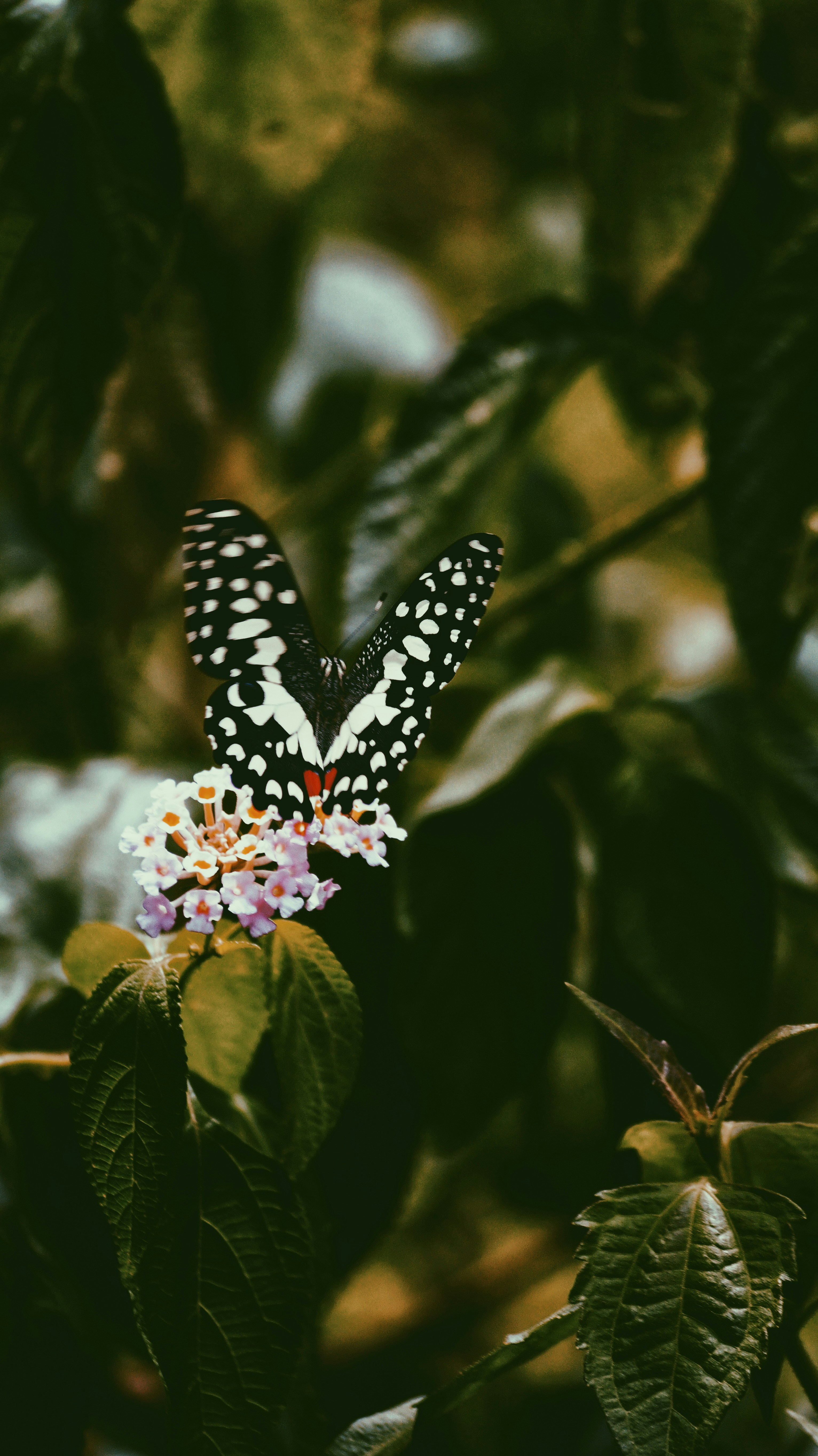 Short‑Form Sync & Micro‑Royalties in 2026: Advanced Strategies for Independent Artists