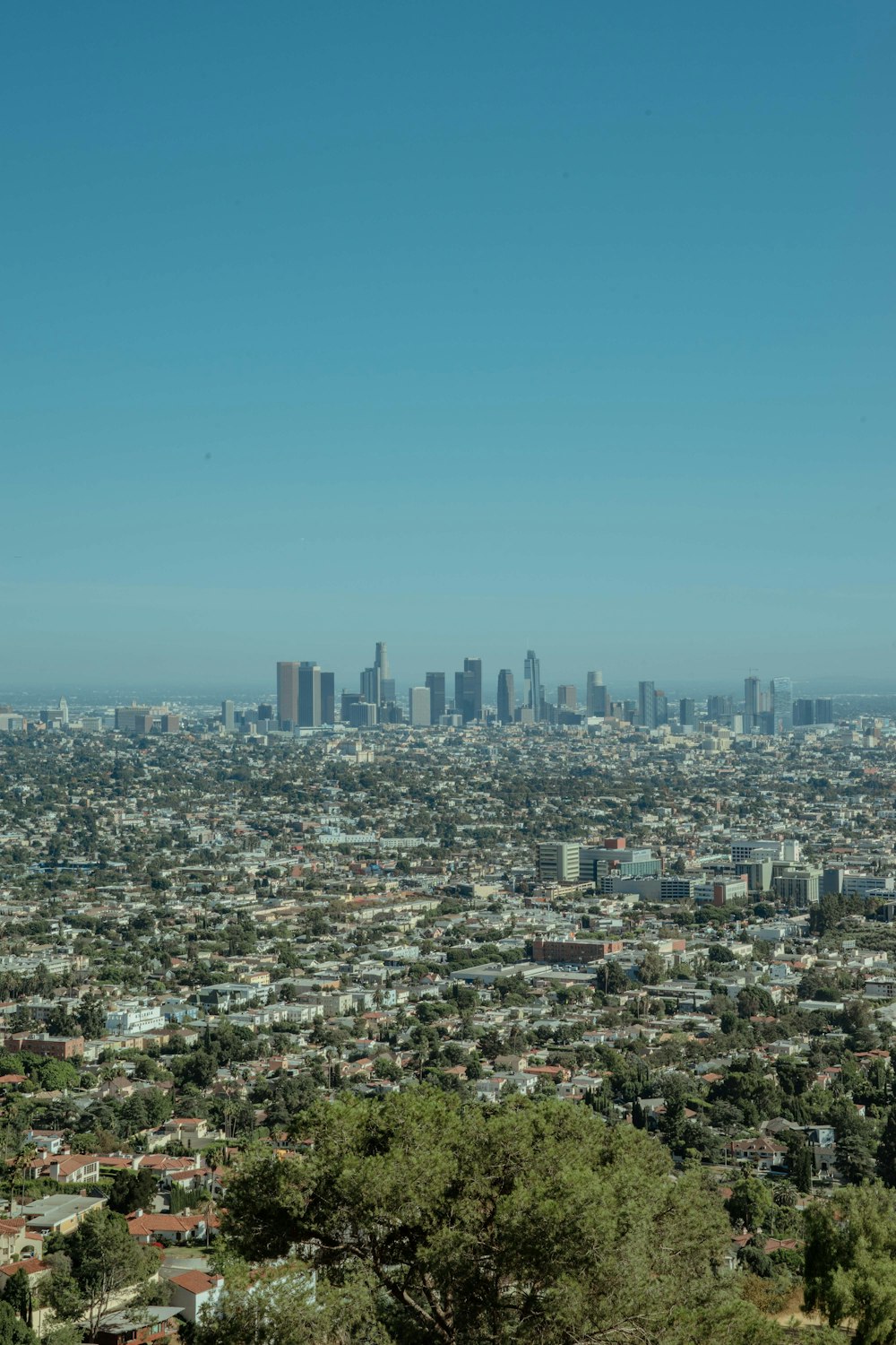 city skyline under blue sky during daytime