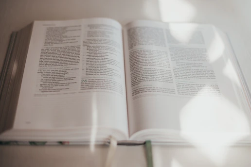 Close-up of an open book showing a beautifully written passage illuminated by soft natural light.