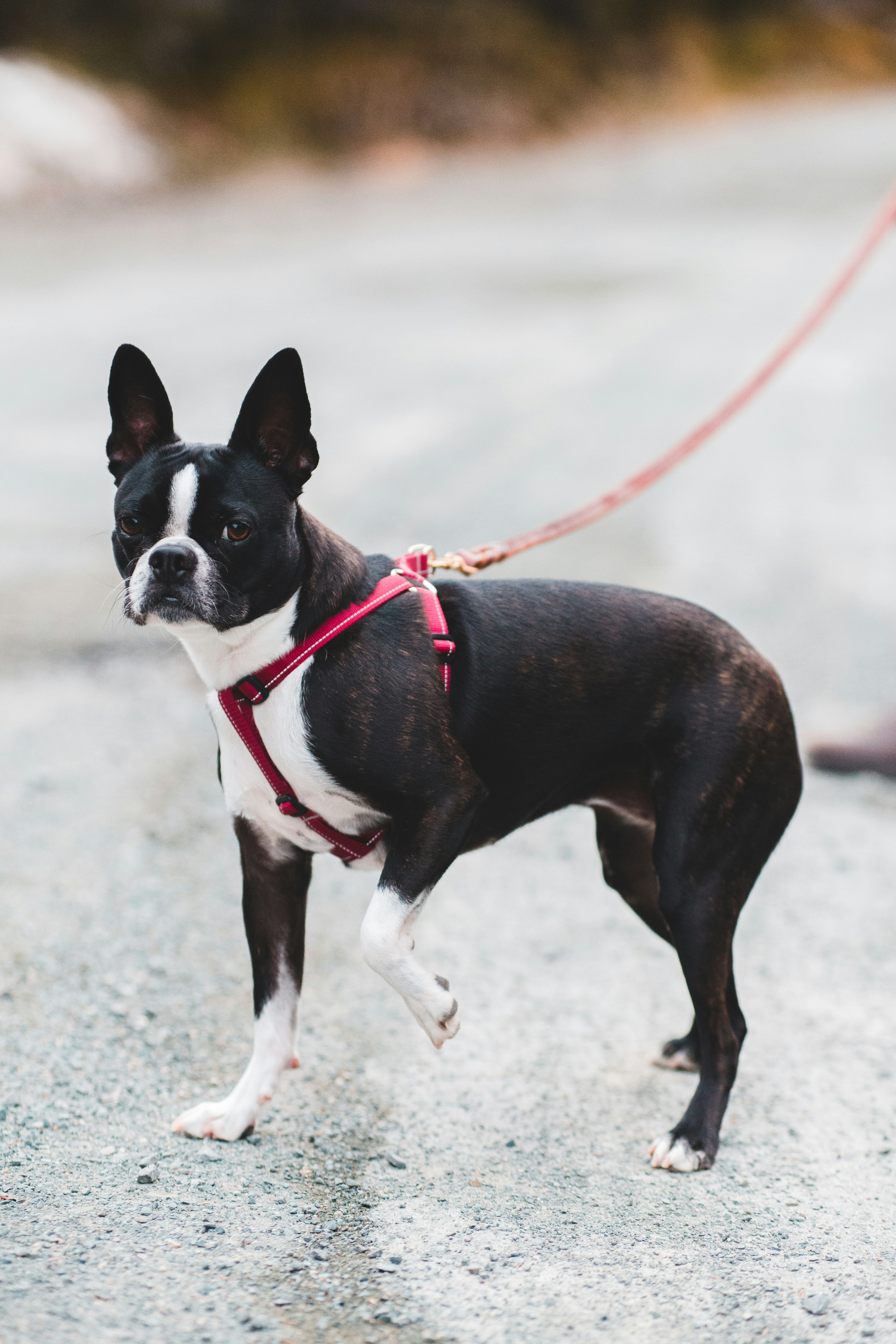 Photo by introspectivedsgn