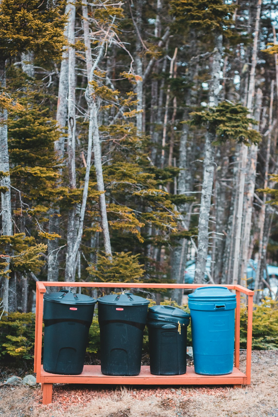 blue plastic trash bins on forest during daytime