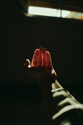 persons hand with heart shaped