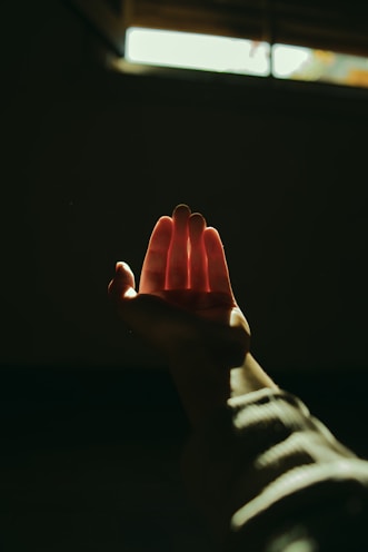 persons hand with heart shaped