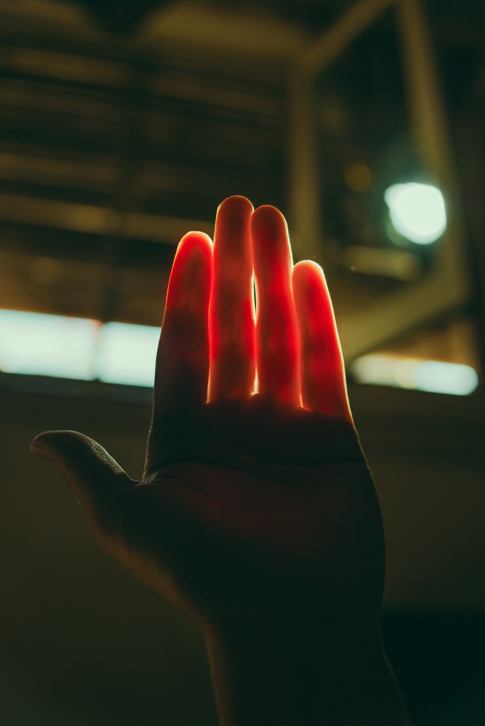 persons hand with heart sign