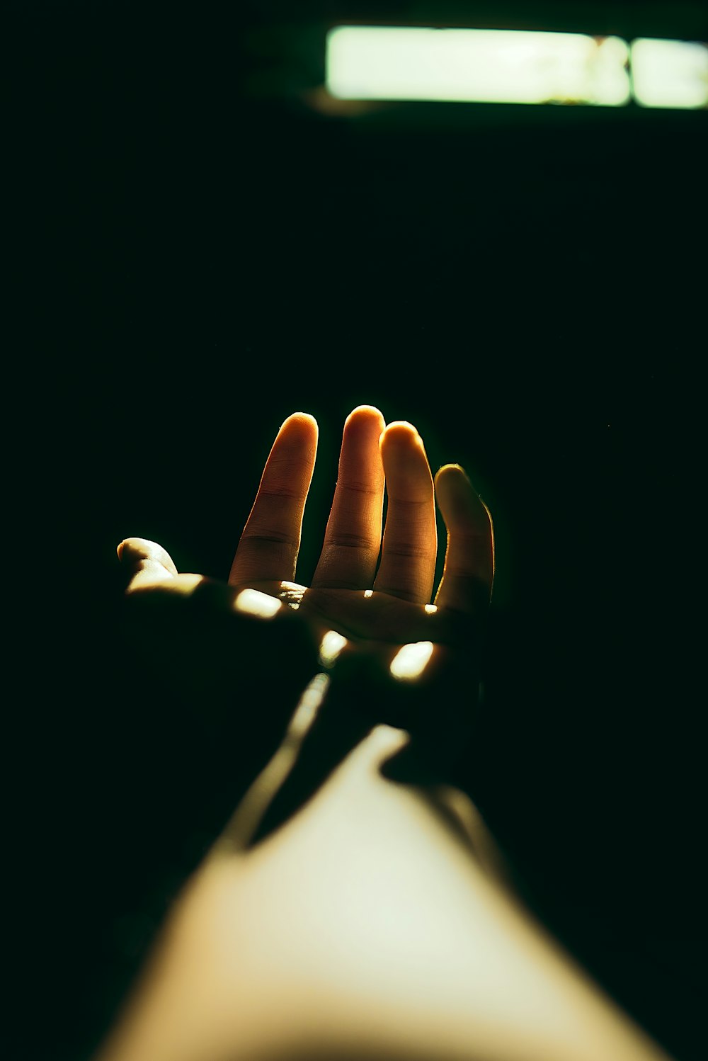 persons hand with black manicure