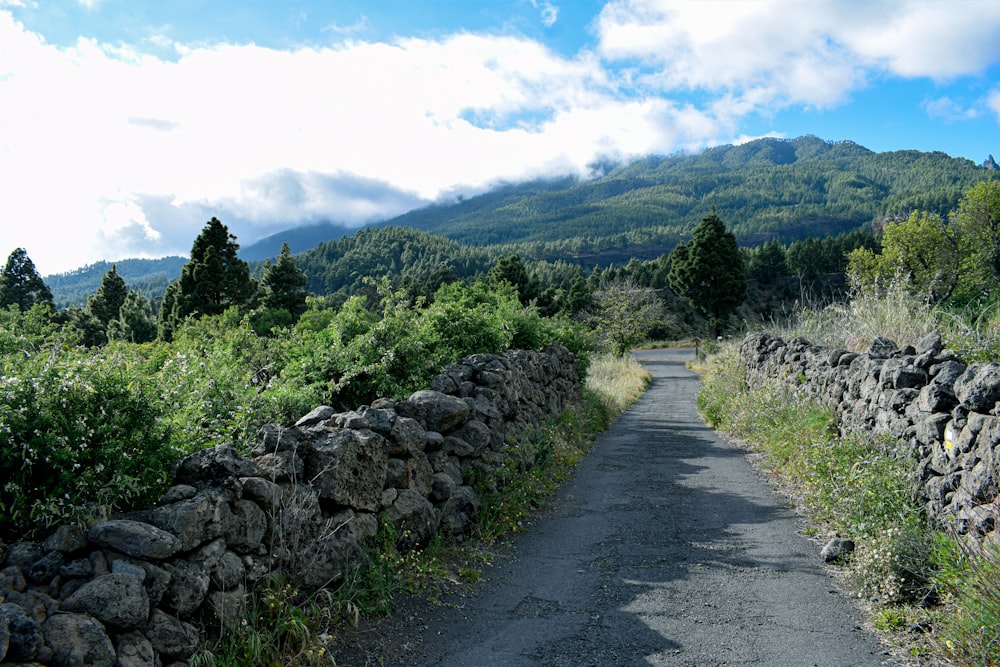 gray asphalt road between green trees under white cloudy sky during daytime