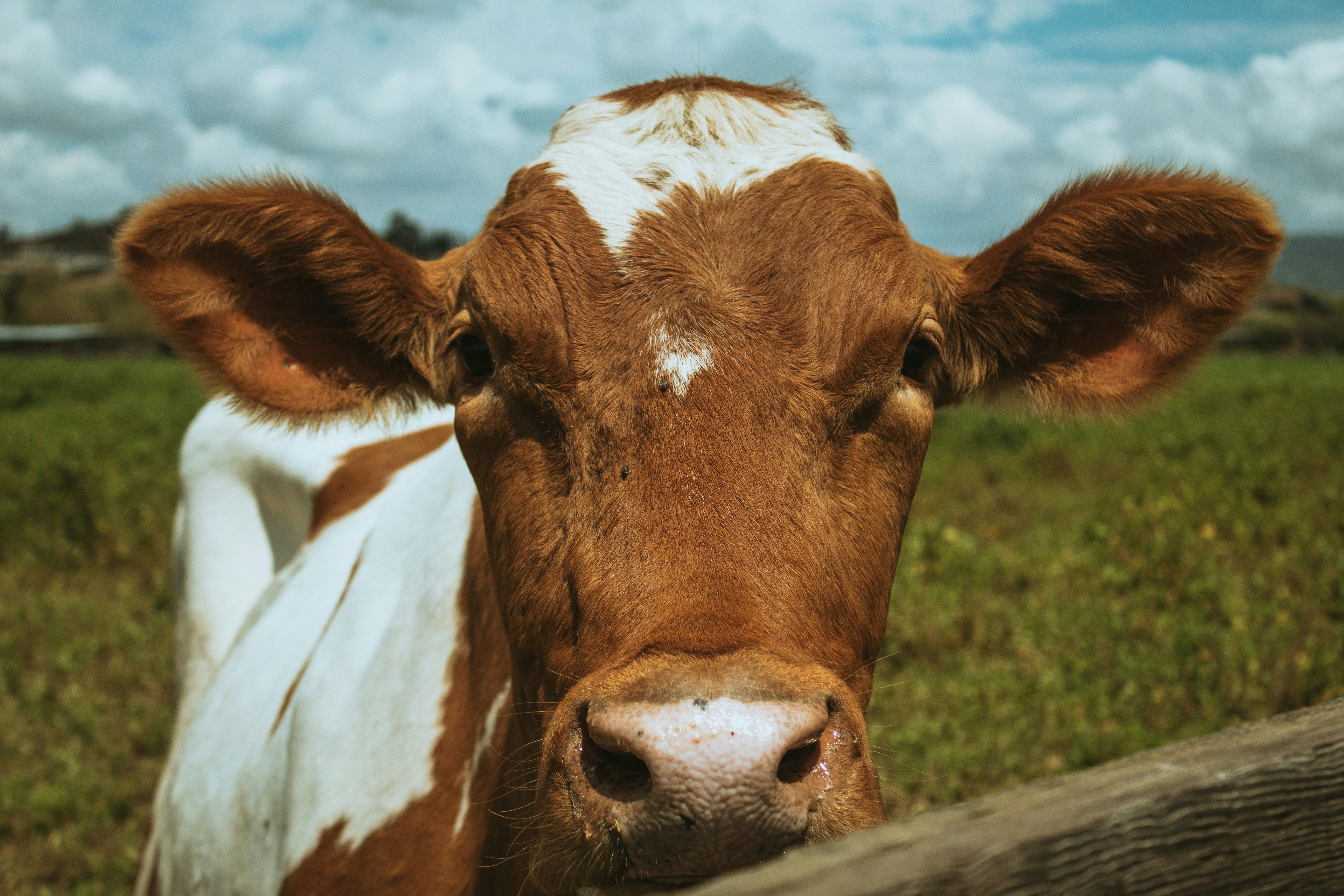 Photo by madelinebowen