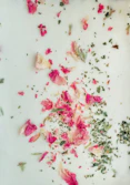 Delicate botanical leaves and flowers artfully scattered on a smooth cream fabric.