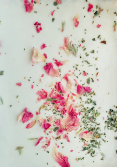 Delicate botanical leaves and flowers artfully scattered on a smooth cream fabric.