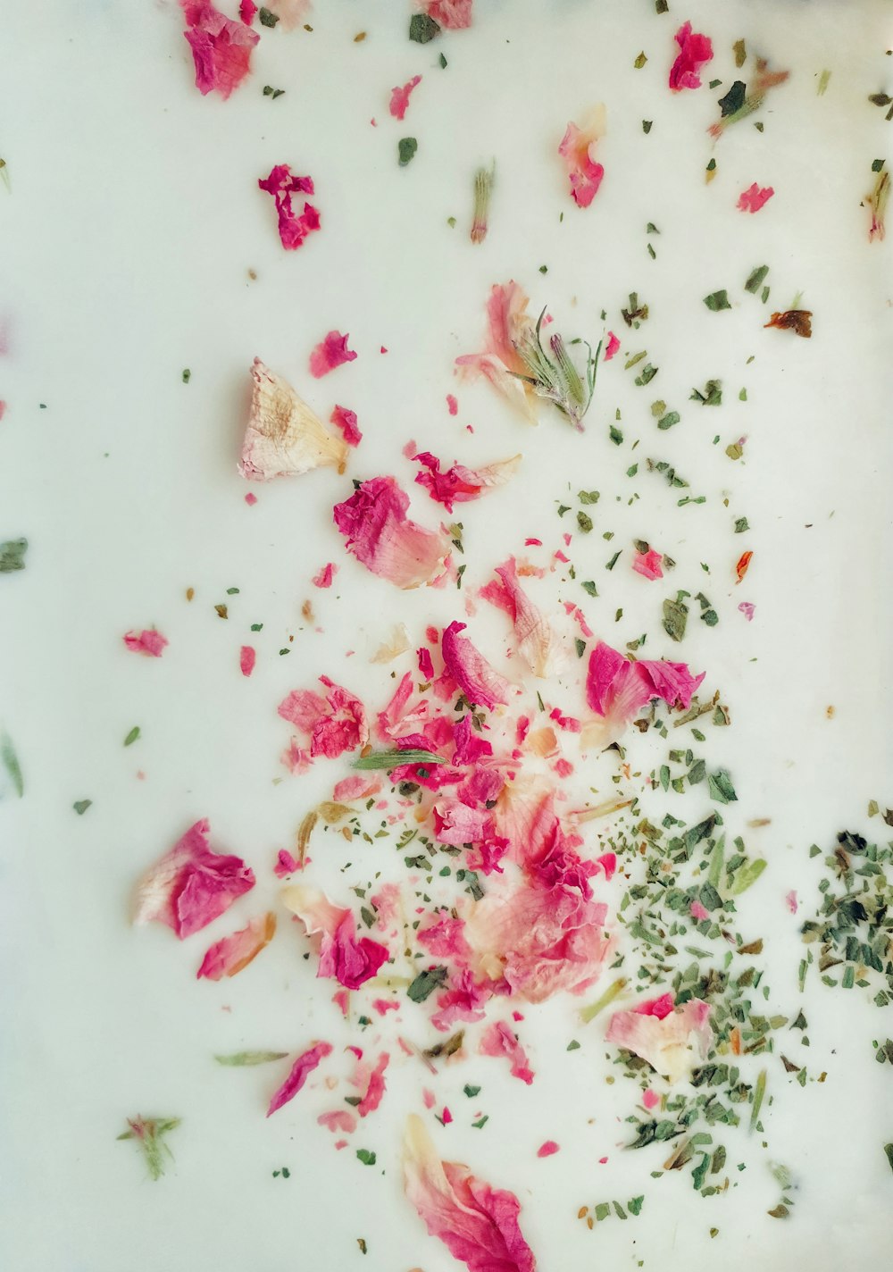 white ceramic plate with red and green food