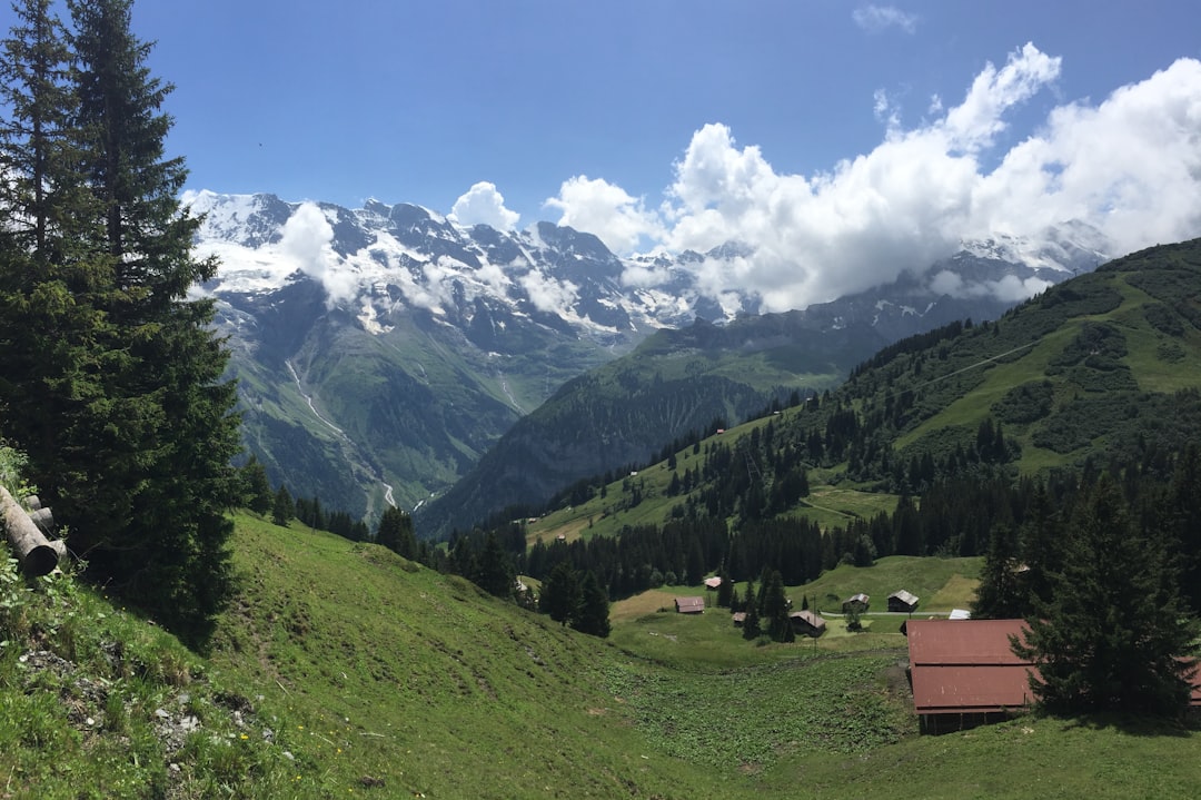 Hill station photo spot Gimmelwald Fiescher Glacier