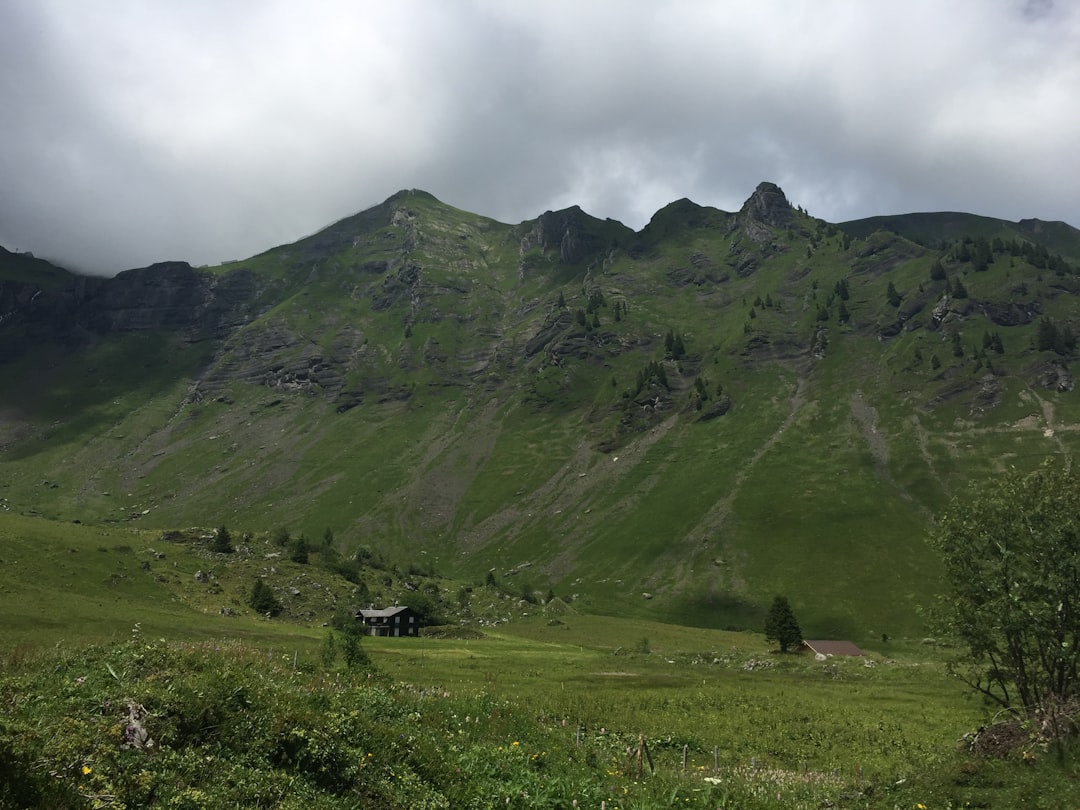 Hill photo spot Gimmelwald Schynige Platte