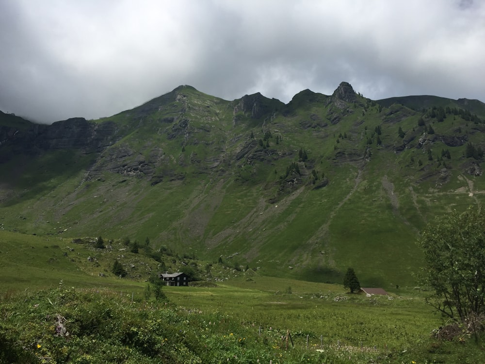 Grünes Grasfeld in Bergnähe tagsüber unter weißen Wolken