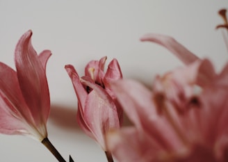 Close-up of delicate artificial lilies with soft petals.