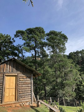 A rustic wooden cabin is set amidst a green landscape, surrounded by tall pine trees. The cabin features a simple wooden door and log construction. The sky above is clear and blue, providing a serene backdrop.