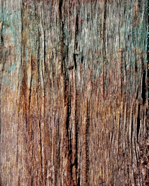 The image depicts a close-up view of a rough, textured wooden surface with deep grooves and a mix of browns and greens. The wood appears weathered and aged, showing signs of natural wear and color variations.