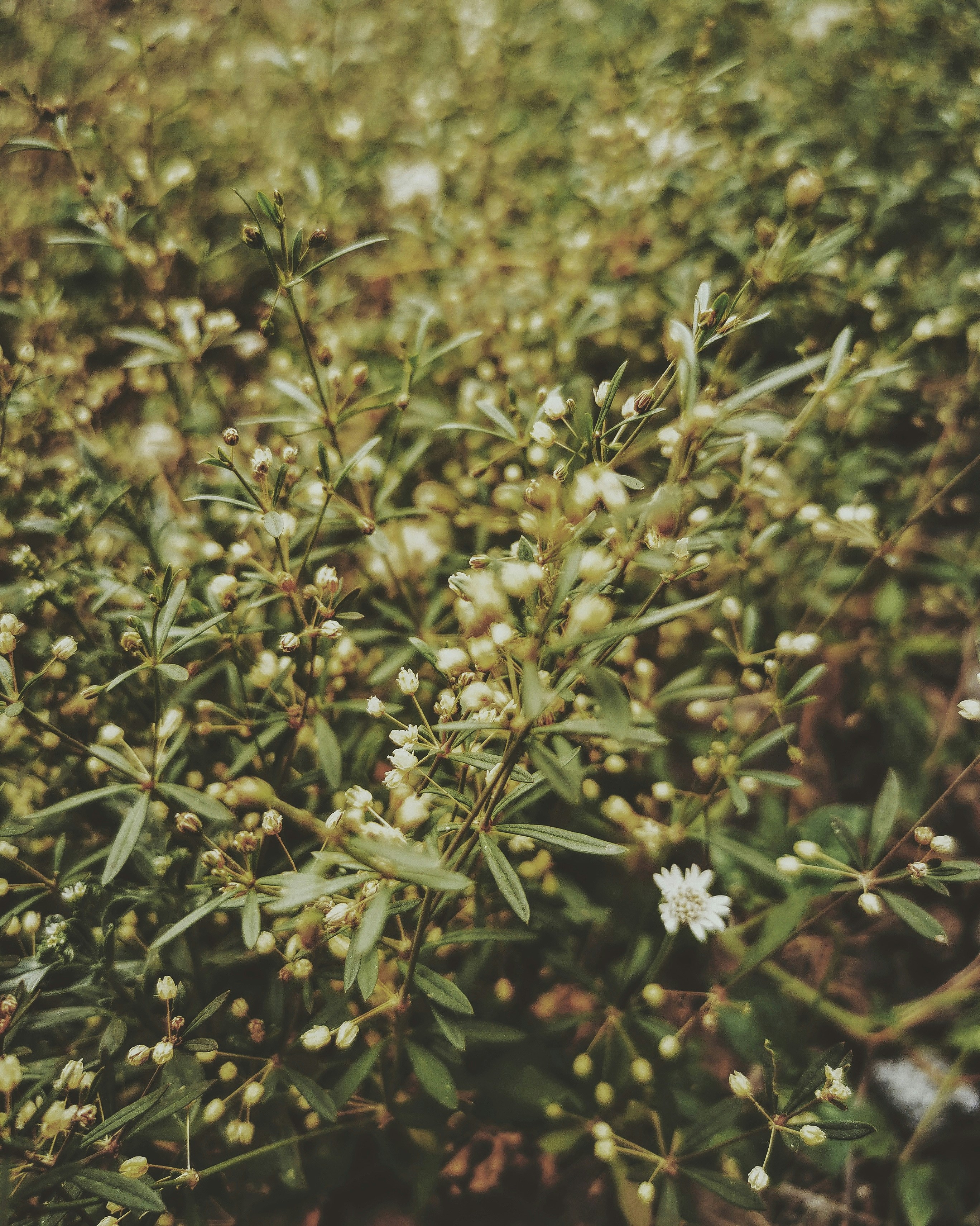 Photo by aguebrambila