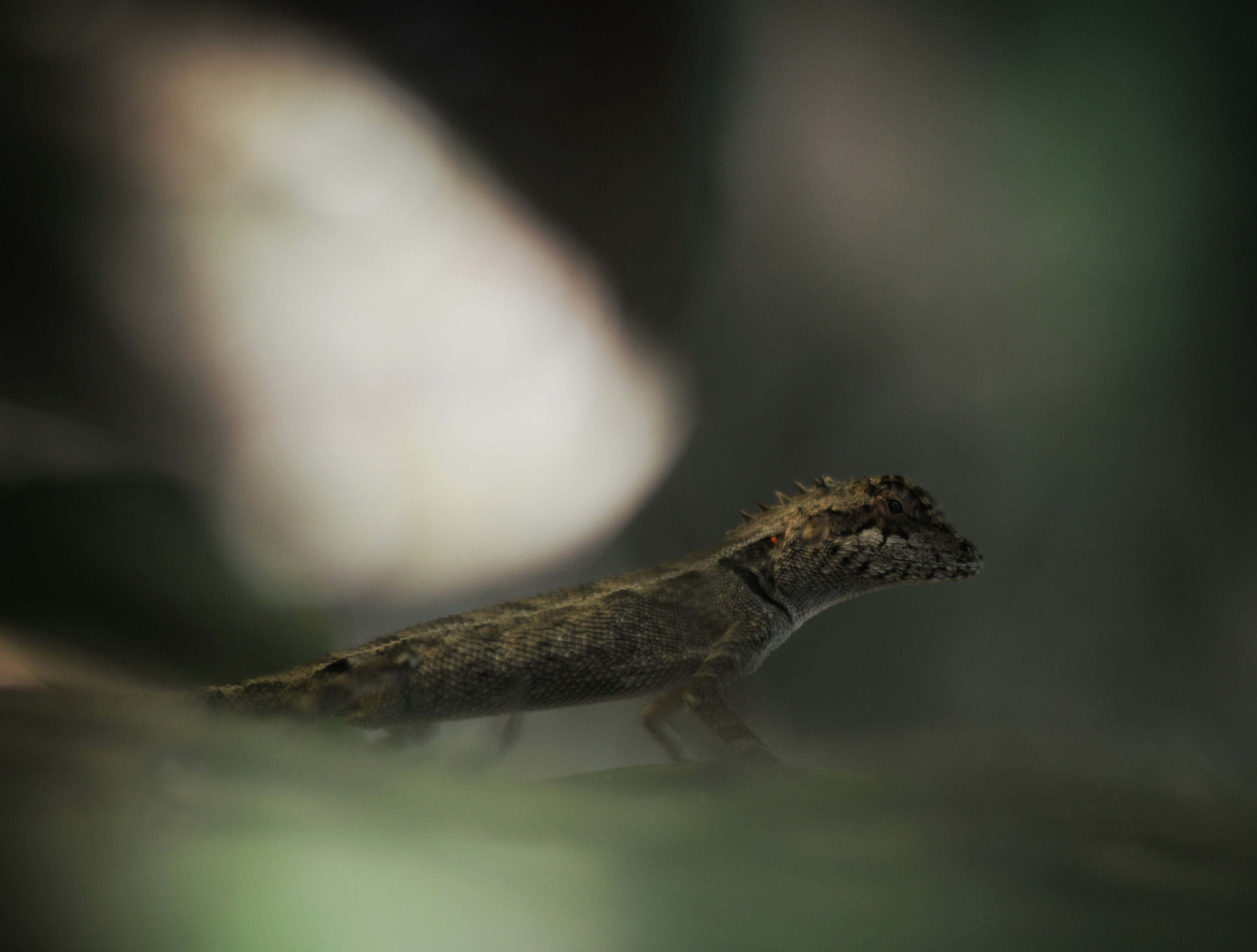 Photo by mr_icebreeze