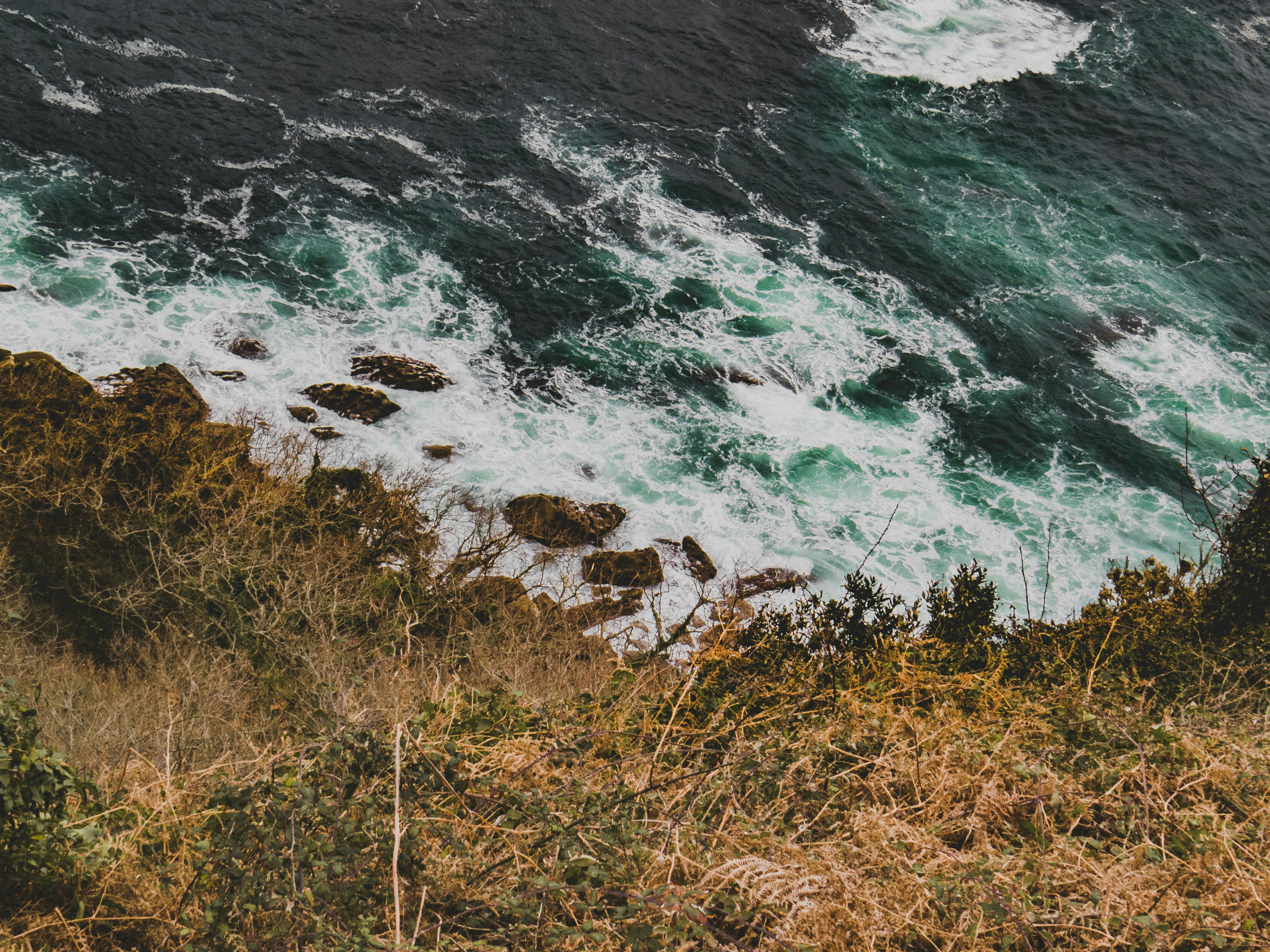 Photo by goffur_mondol