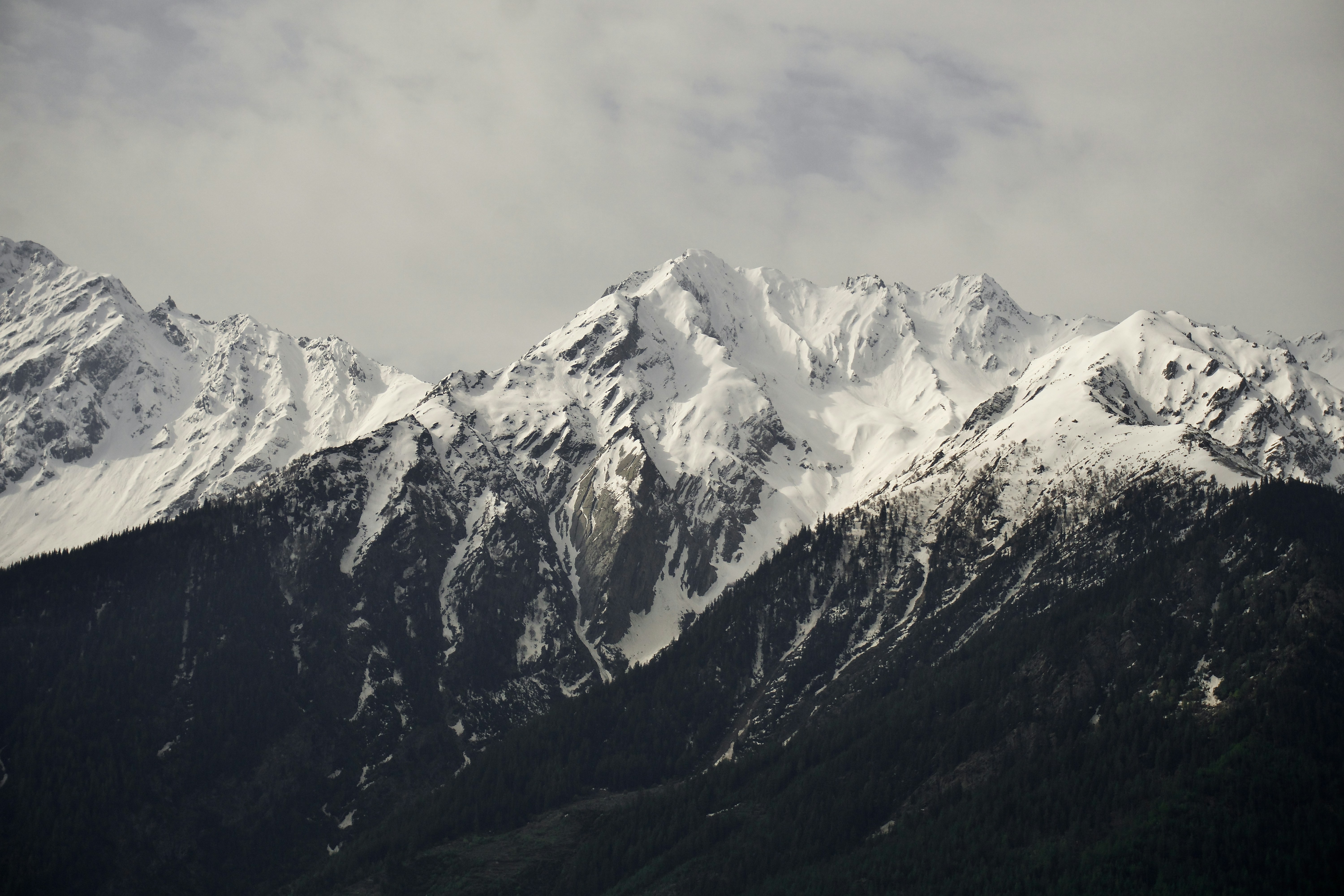 Photo by shreekarlathiya