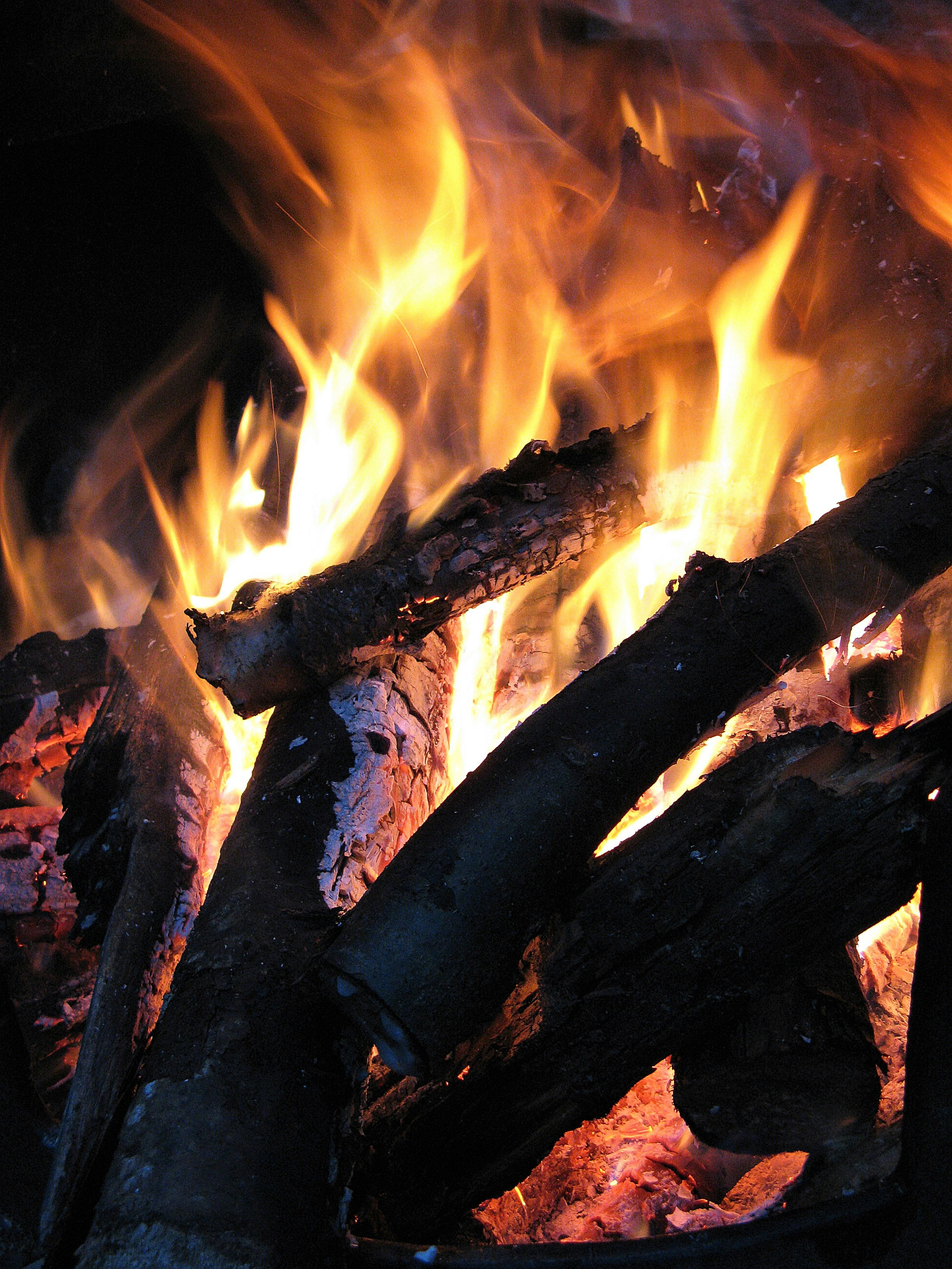 Photo by arozwadowska