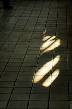 Close-up of a sparkling clean floor reflecting sunlight through a window.