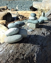 Smooth river stones arranged in a line, representing steady progress and resilience.