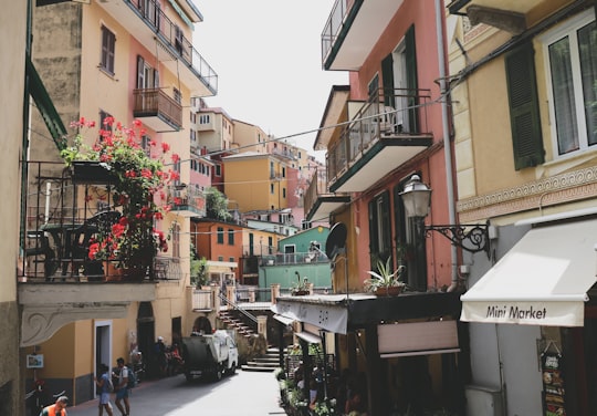 people walking on street during daytime in Parco Nazionale delle Cinque Terre Italy